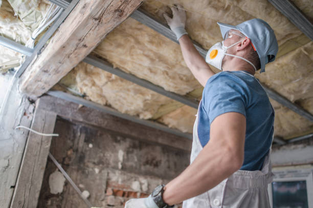 Best Geographic-Specific Insulation Services in Jeffersonville, OH